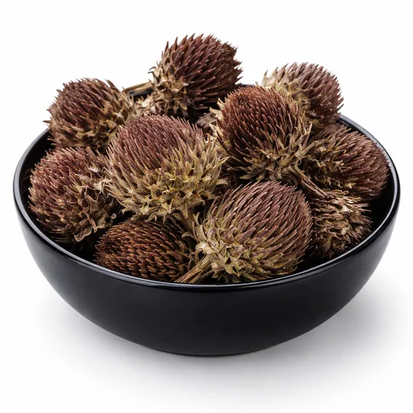 Dried_Echinacea_Whole_Echinacea_Purpurea